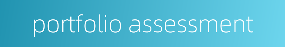 portfolio assessment的同义词