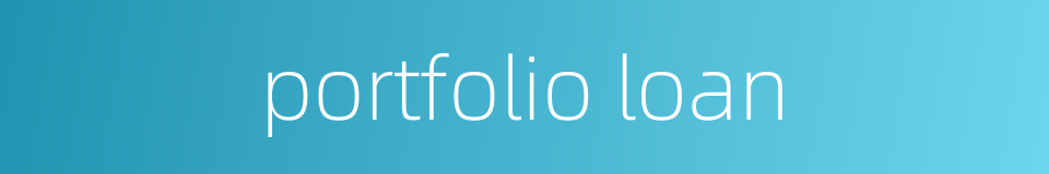 portfolio loan的同义词