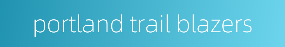 portland trail blazers的同义词