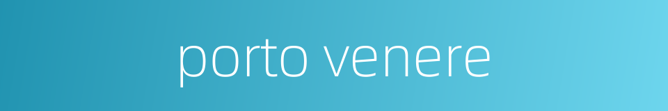 porto venere的同义词