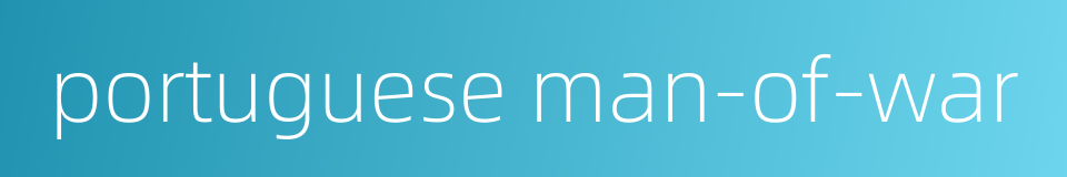 portuguese man-of-war的同义词