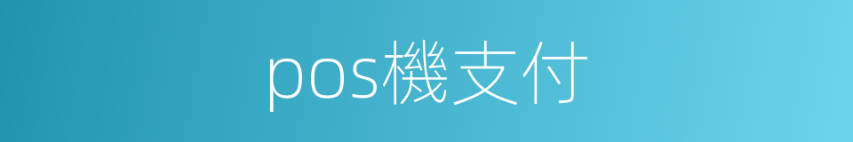 pos機支付的同義詞
