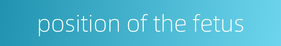 position of the fetus的同义词