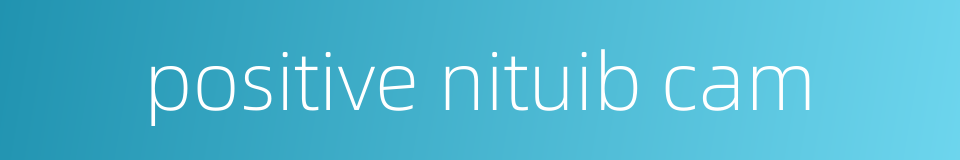 positive nituib cam的同义词