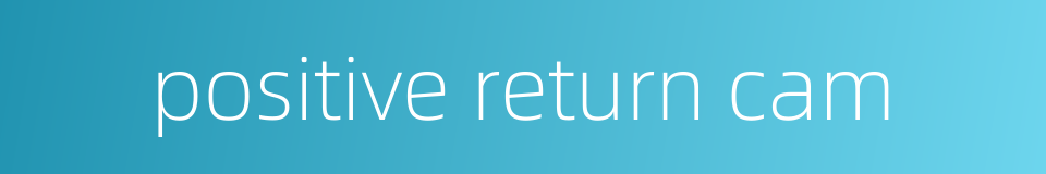 positive return cam的同义词