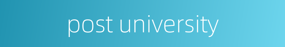 post university的同义词
