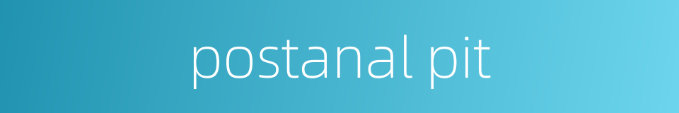 postanal pit的同义词