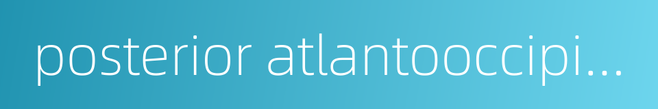 posterior atlantooccipital membrane的同义词