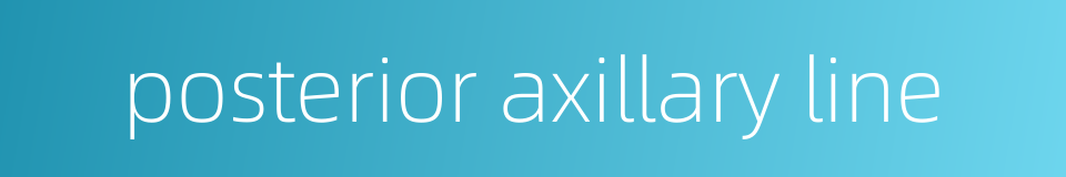 posterior axillary line的同义词