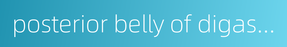 posterior belly of digastric的同义词