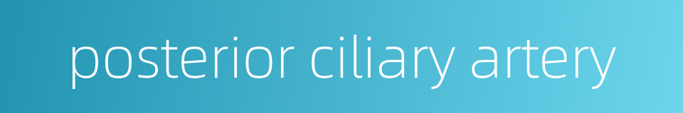 posterior ciliary artery的同义词
