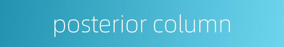 posterior column的同义词