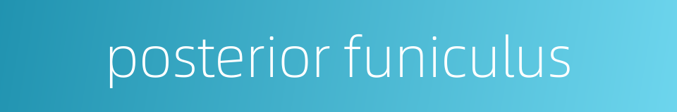 posterior funiculus的同义词