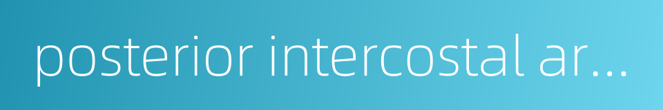 posterior intercostal artery的同义词