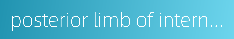 posterior limb of internal capsule的同义词
