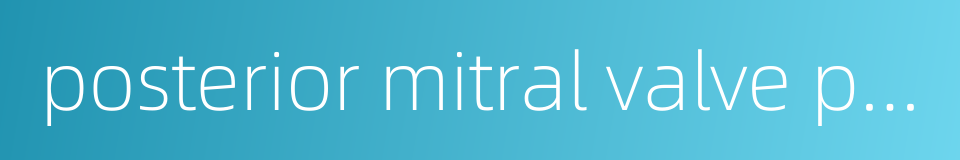 posterior mitral valve prolapse的同义词