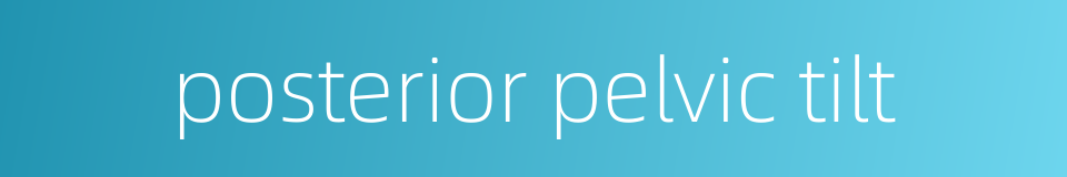 posterior pelvic tilt的同义词