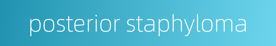 posterior staphyloma的同义词