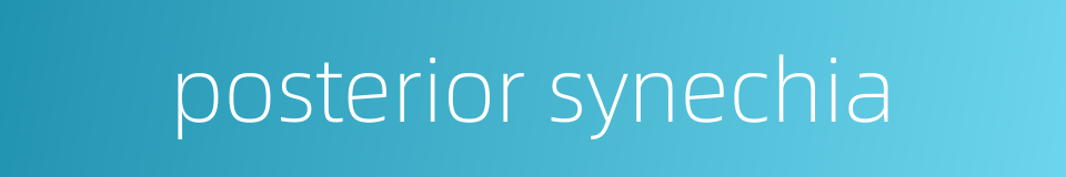posterior synechia的同义词