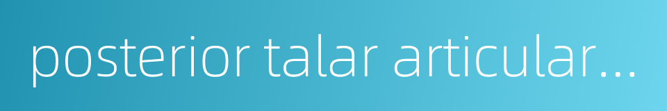 posterior talar articular surface的同义词