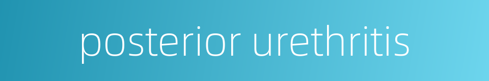 posterior urethritis的同义词