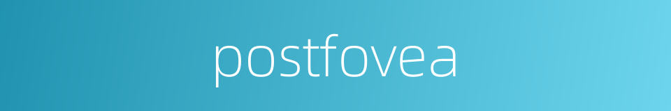 postfovea的同义词
