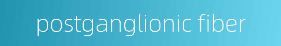 postganglionic fiber的同义词
