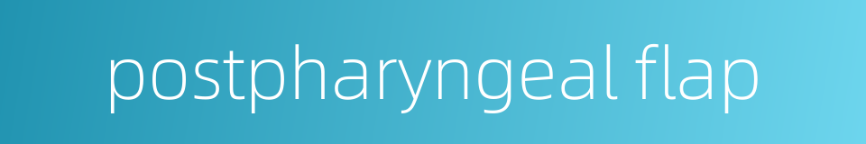 postpharyngeal flap的同义词