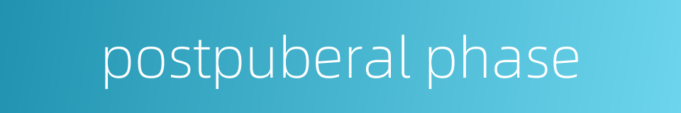 postpuberal phase的同义词