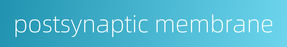 postsynaptic membrane的同义词