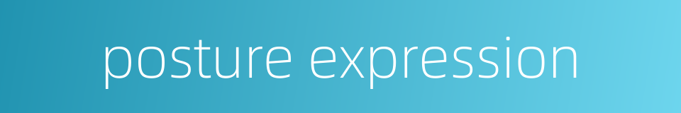 posture expression的同义词