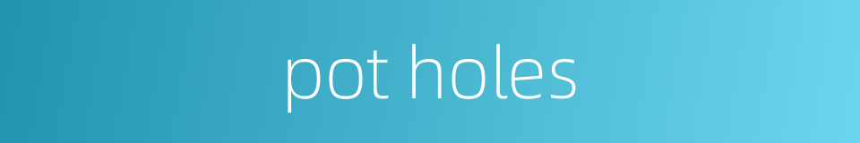 pot holes的同义词