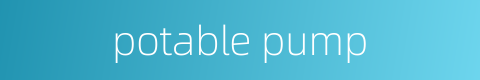 potable pump的同义词