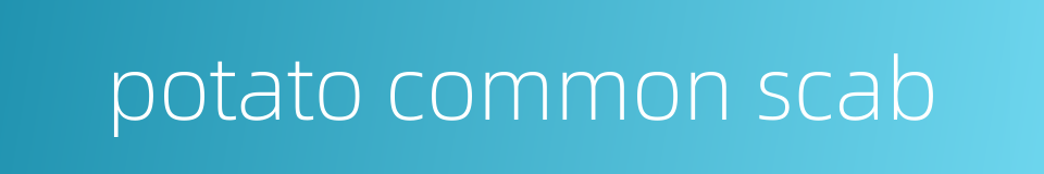 potato common scab的同义词