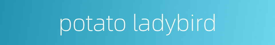 potato ladybird的同义词