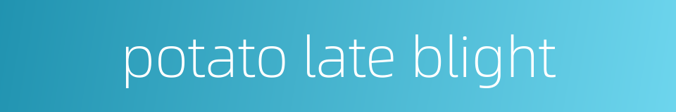 potato late blight的同义词