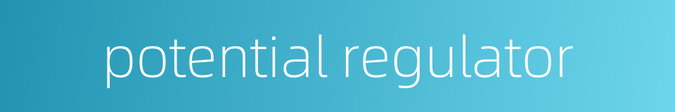 potential regulator的同义词