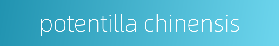 potentilla chinensis的同义词
