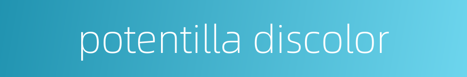potentilla discolor的同义词