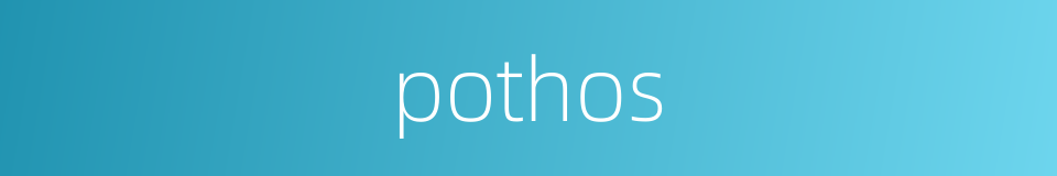 pothos的同义词