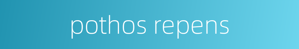 pothos repens的同义词