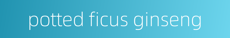 potted ficus ginseng的同义词