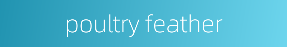 poultry feather的同义词