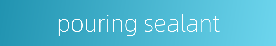 pouring sealant的同义词