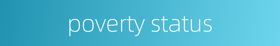 poverty status的同义词
