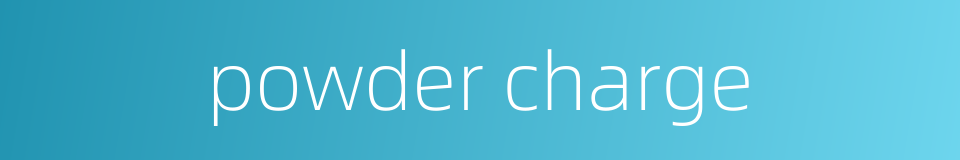 powder charge的同义词