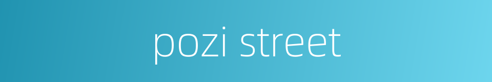 pozi street的同义词