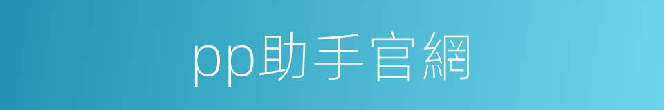 pp助手官網的同義詞