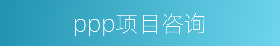 ppp项目咨询的同义词