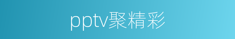 pptv聚精彩的同义词